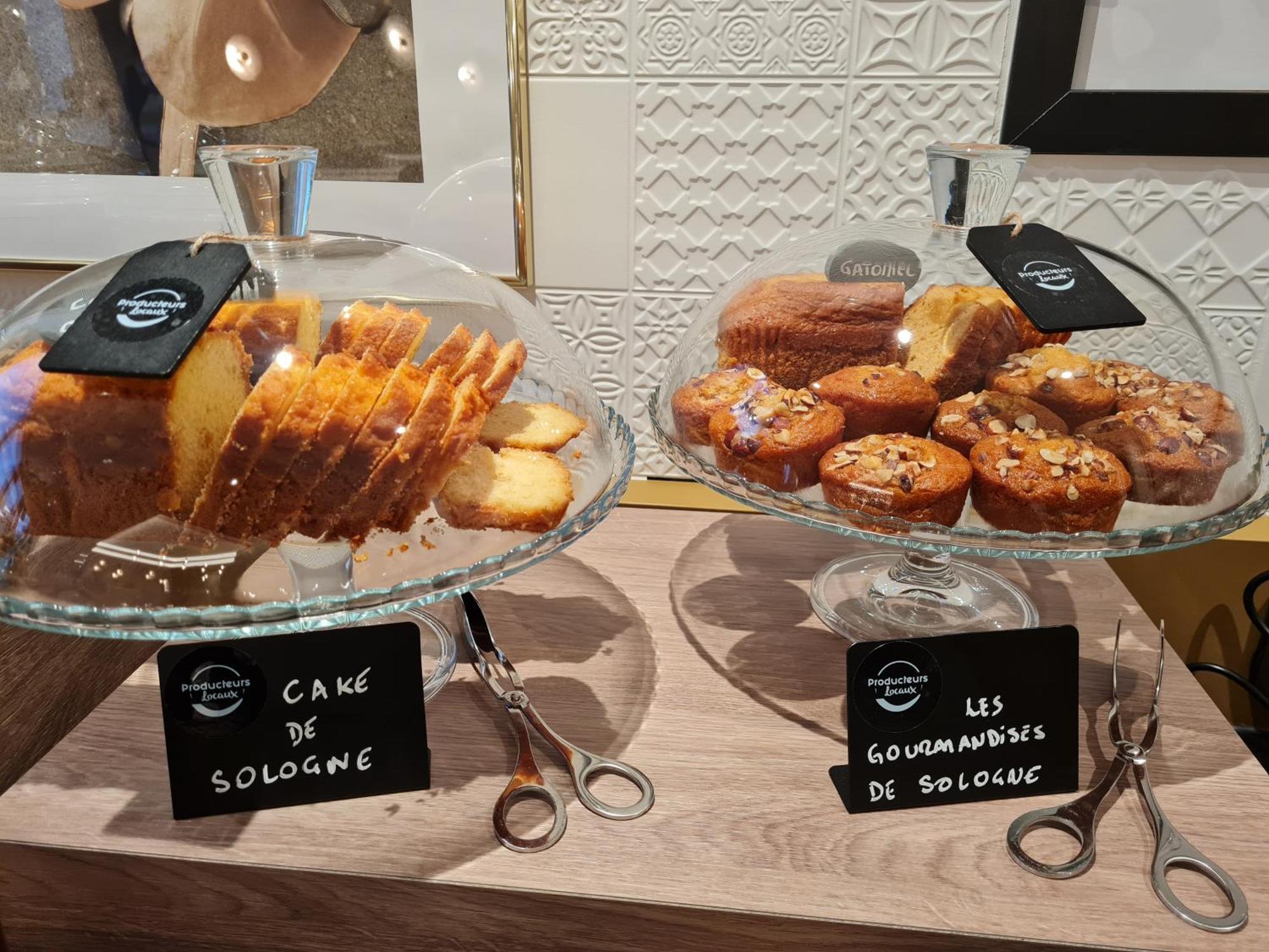 Brit Hotel Orleans St Jean De Braye - L'Antares Сен-Жан-де-Брей Экстерьер фото