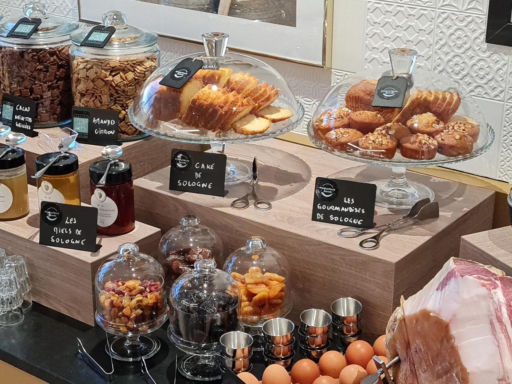 Brit Hotel Orleans St Jean De Braye - L'Antares Сен-Жан-де-Брей Экстерьер фото